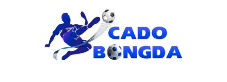 Nhà cái Cá độ bóng đá