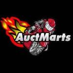 Auctmarts Fairings