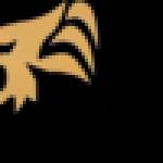 Robina Removals Gold Coast