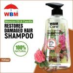 best shampoo for hair loss