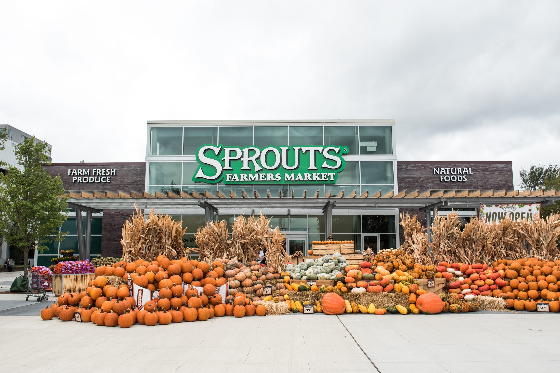 Sprouts Farmers Market Philadelphia: Fresh Produce, Organic Foods, and Weekly Deals in 2026 – Telegraph