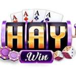 Haywin Casino Online Uy Tín