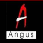 Angus Bags