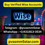 Top 19 Online Stores for Buying Verified Wise Accounts (1)