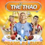 vsthethao cacuocbongdahopphap