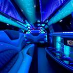Livonia Party Bus