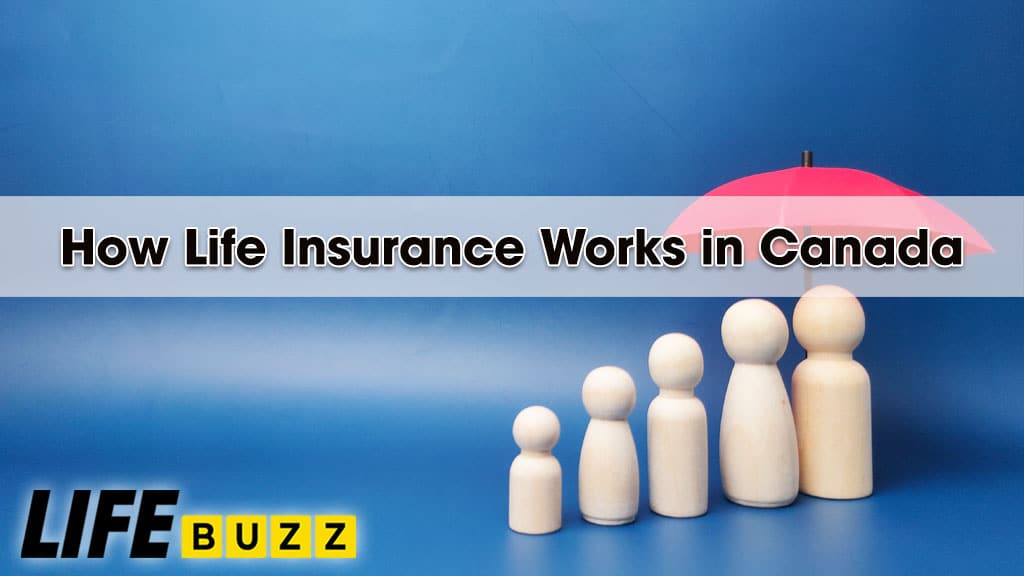 How Does Life Insurance Work In Canada?
