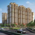 1 bhk flats in Noida
