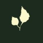 Groove Street Psychiatry