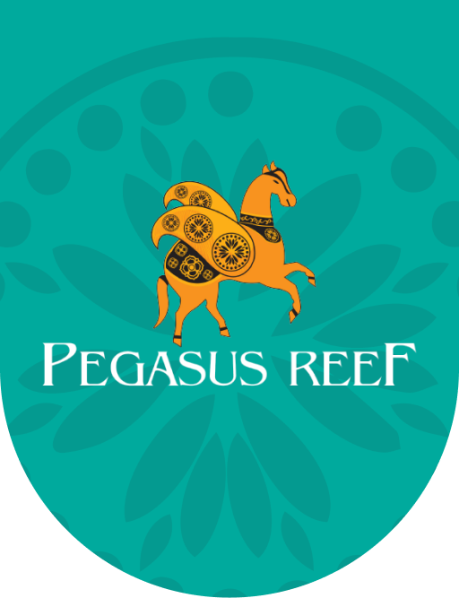 Top Family Restaurants in Wattala | Dine by the Sea | Pegasus Reef