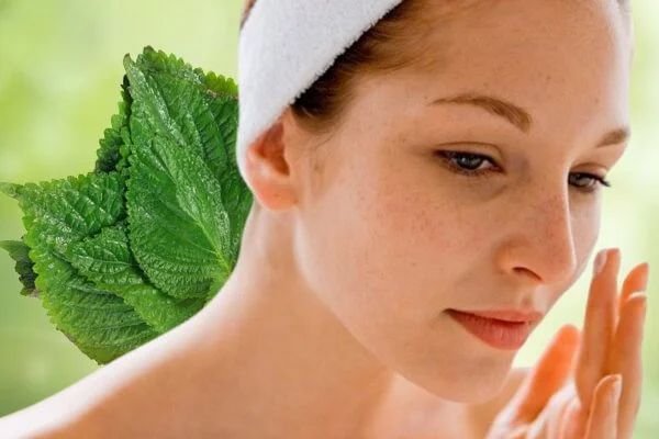 Mặt nạ tía tô sữa chua không đường: Có thực sự trị nám và tàn nhang hiệu quả? – Chăm sóc da