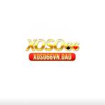 xoso 66vn