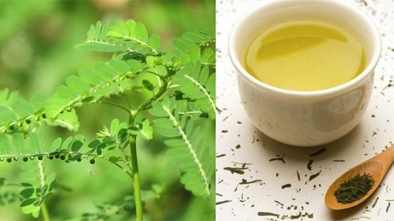 Diệp hạ châu: “Thần dược” mát gan hay tiềm ẩn nguy cơ nếu dùng sai cách? – Kienthucduoclieu.vn