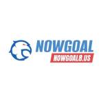 nowgoal8 us