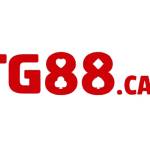 TG88 casino