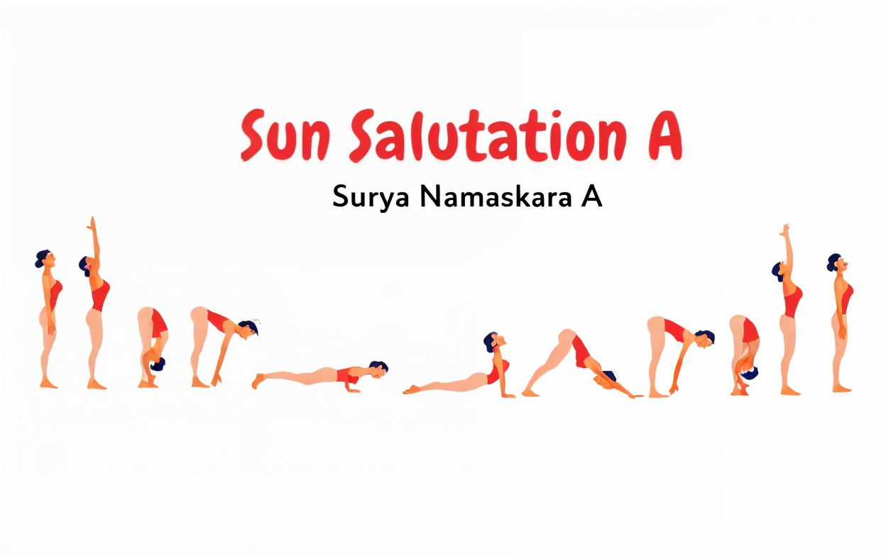 Benefits and The 12 Steps of Hatha Yoga Sun Salutation 