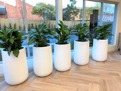 Indoor Planter Boxes Guide for Modern Interiors and Plant Hire Solutions – Foliage Indoor Plant Hire