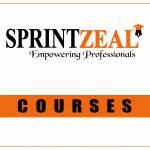 sprintzeal q81 Sprintzeal