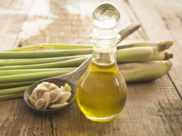 Địa chỉ bán tinh dầu sả chanh chất lượng tốt nhất tại TPHCM