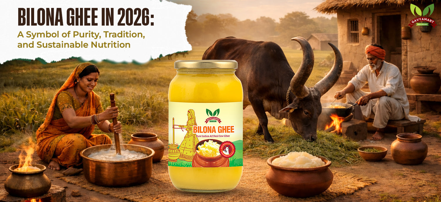 Bilona Ghee in 2026: A Symbol of Purity, Tradition, and Sustainable Nu  – Gavyamart Store