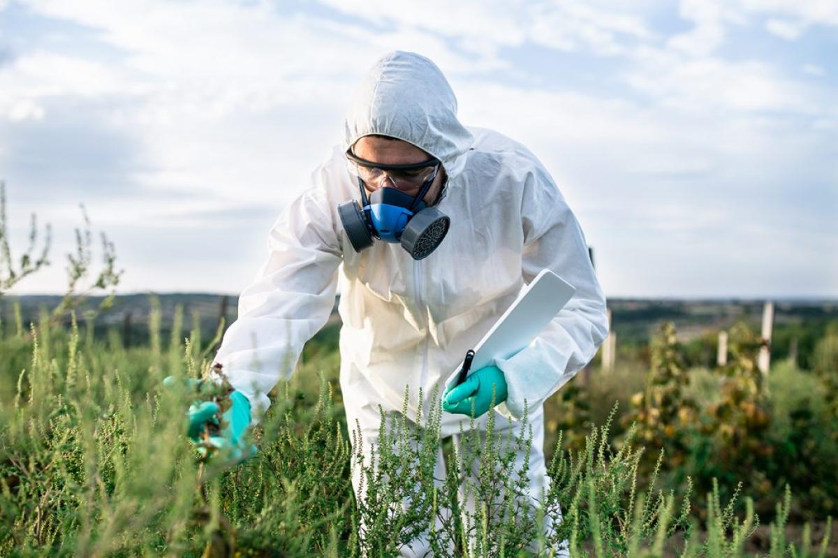 Why DIY Weed Killer Fails (And When To Call A Weed Control Service) | Author Sherratt Group Ltd | Sociomix