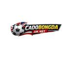 Cá Độ Bóng Đá