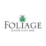 Indoor Office Plant Foliage Indoor Plant Hire