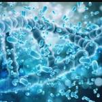 Probiotics and Gut Health