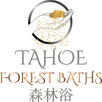 Detox, Heal, and Reduce Swelling with Specialized Lymphatic Therapy -  TheOmniBuzz