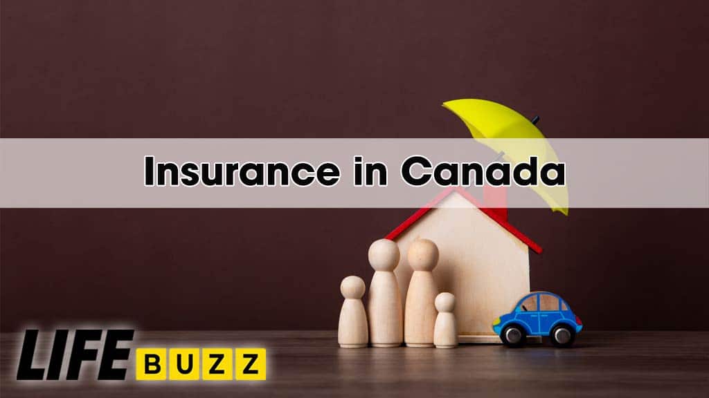 Insurance In Canada: Types, Costs, & Why You May Need One