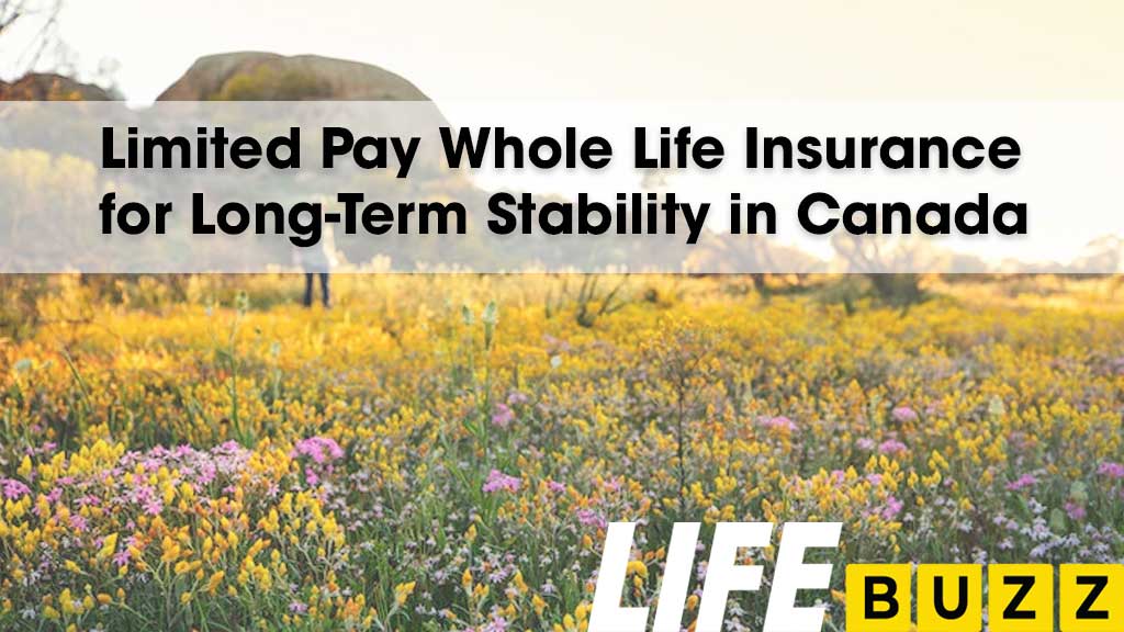 Limited Pay Whole Life Insurance For Long-Term Stability