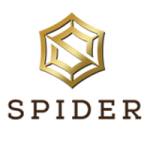 Spider Business center