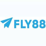 fly 88