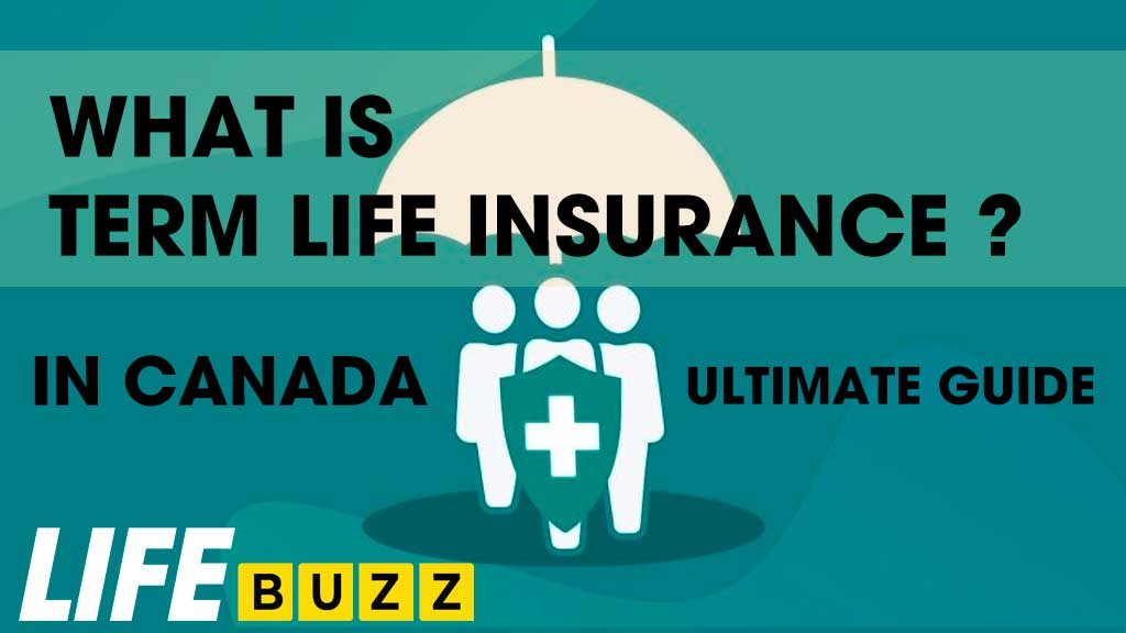 Choosing The Best Term Life Insurance In Canada