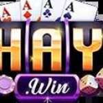 Cổng Game Haywin