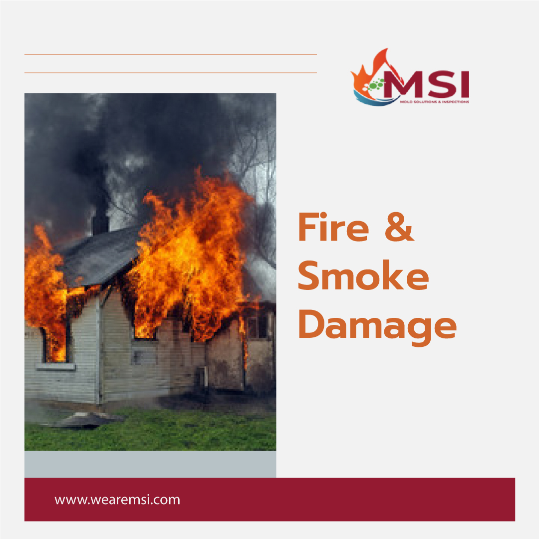 The Complete Guide to Water, Fire, and Mold Restoration Services – Mold Solutions & Inspections