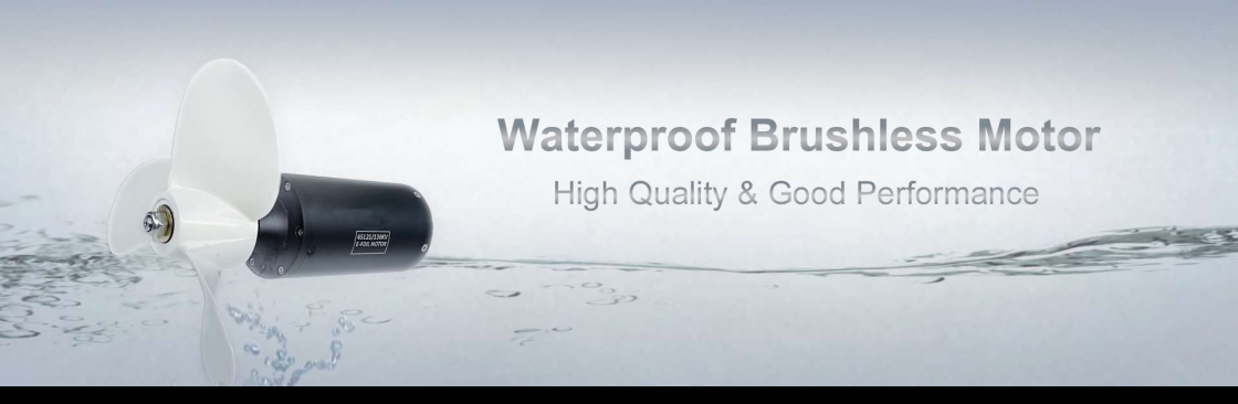 Waterproof Brushless Motor Supplier