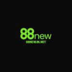 88New innet