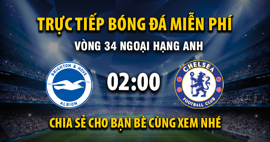 Link trực tiếp Brighton vs Chelsea 02:00, ngày 22/04 - Xoilac365.tv