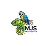 MJS Exotics
