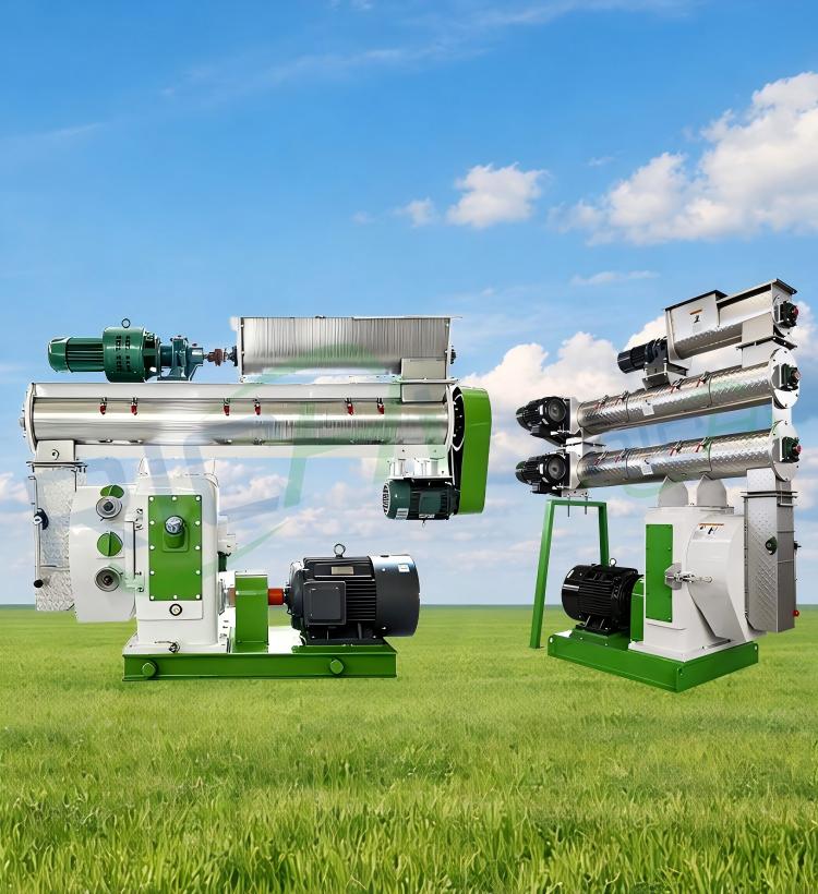 Pig Feed Pellet Machine - RICHI MACHINERY