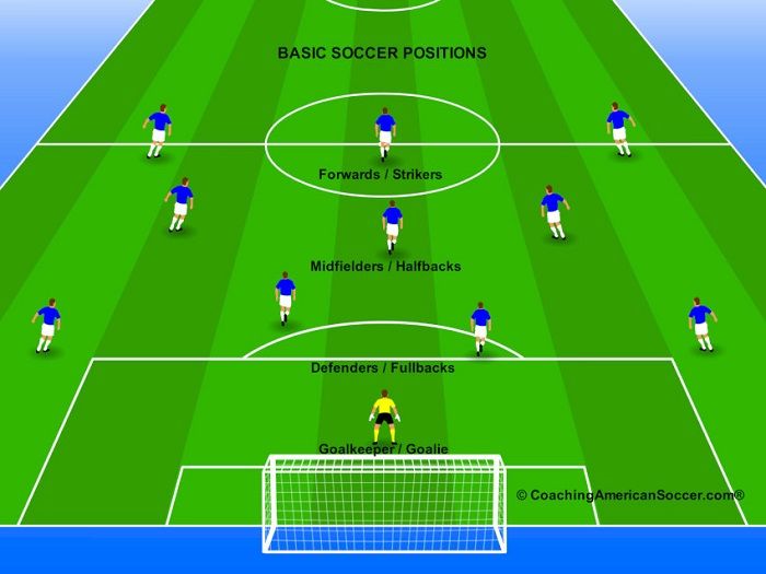 Trung vệ là gì? Tìm hiểu vai trò của trung vệ trong đội bóng