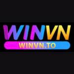 Winvn