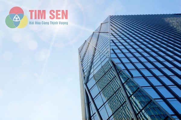 Quy trình, thủ tục thành lập công ty TNHH mới nhất 2026