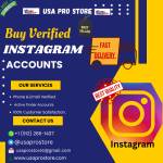 buy verified instragram accounts