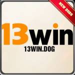 13win dog