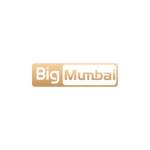 Big Mumbai Game