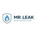 Mr Leak  Water Damage Restoration