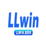 Llwin beer