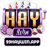Haywin Thien Duong Game Doi Thuong Hap